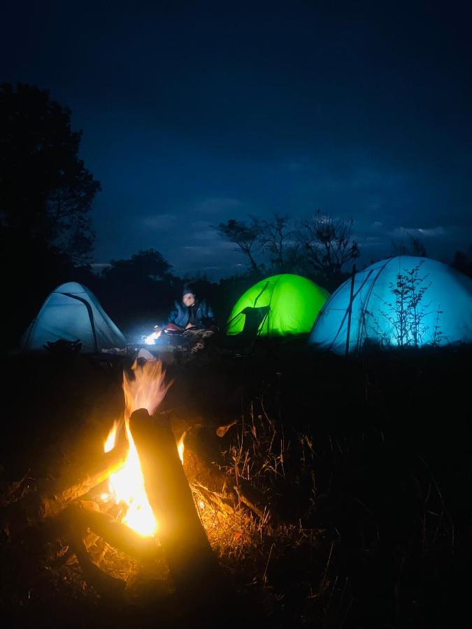 Dreamwoods A Travellers Farm Hostel Dharamshala Bagian luar foto