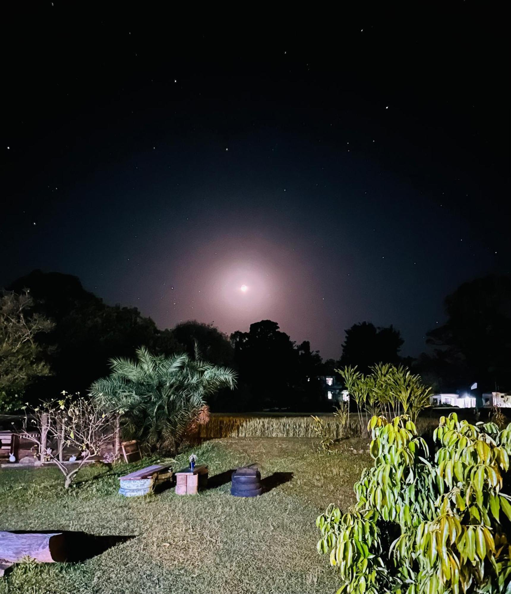 Dreamwoods A Travellers Farm Hostel Dharamshala Bagian luar foto