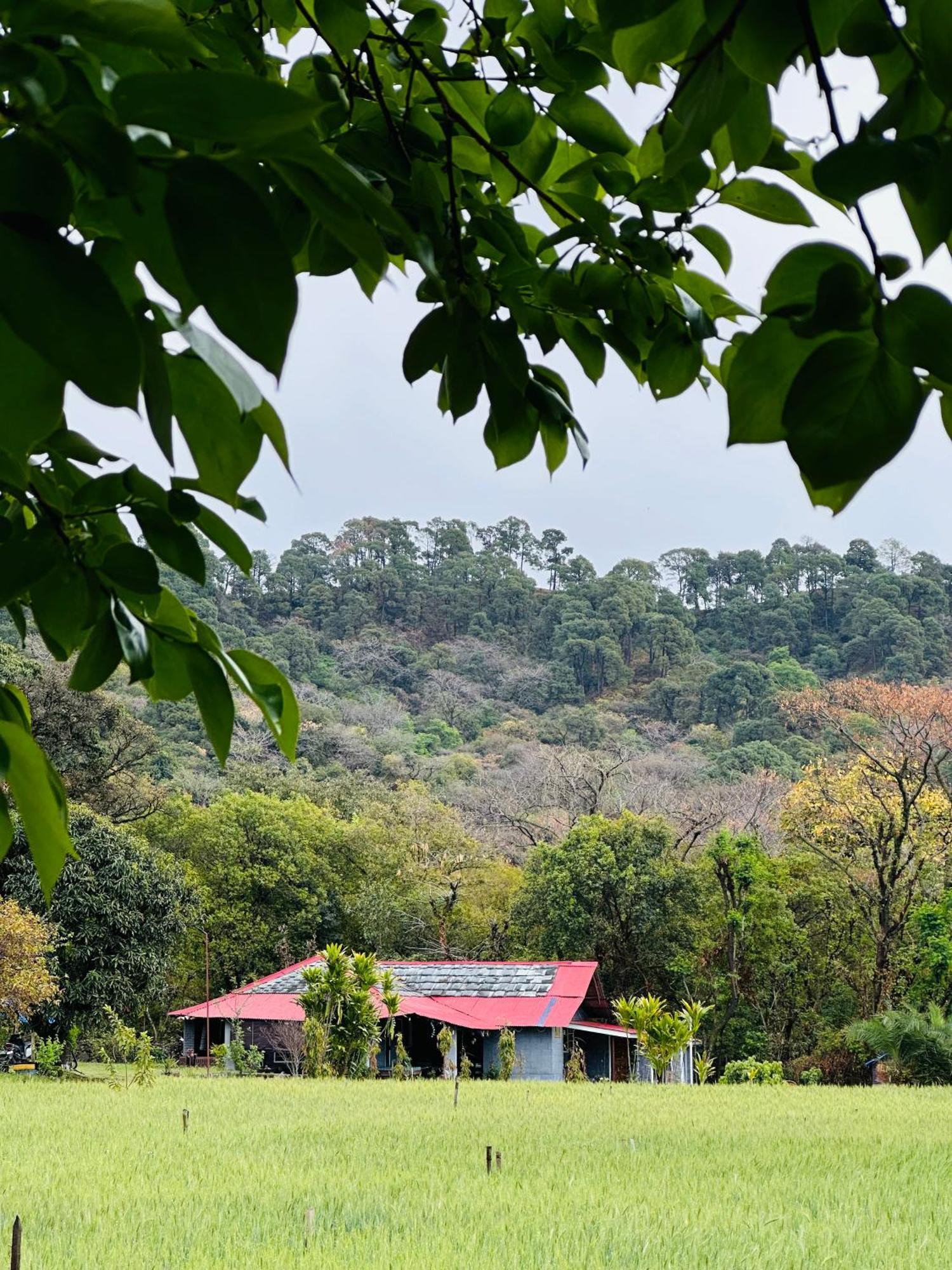 Dreamwoods A Travellers Farm Hostel Dharamshala Bagian luar foto